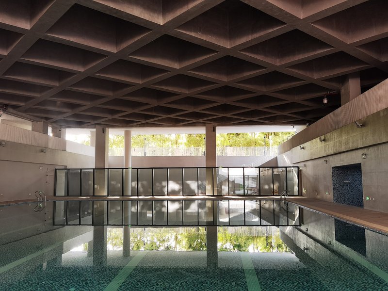 Indoor pool with waffle slab ceiling and clerestory windows revealing greenery outside