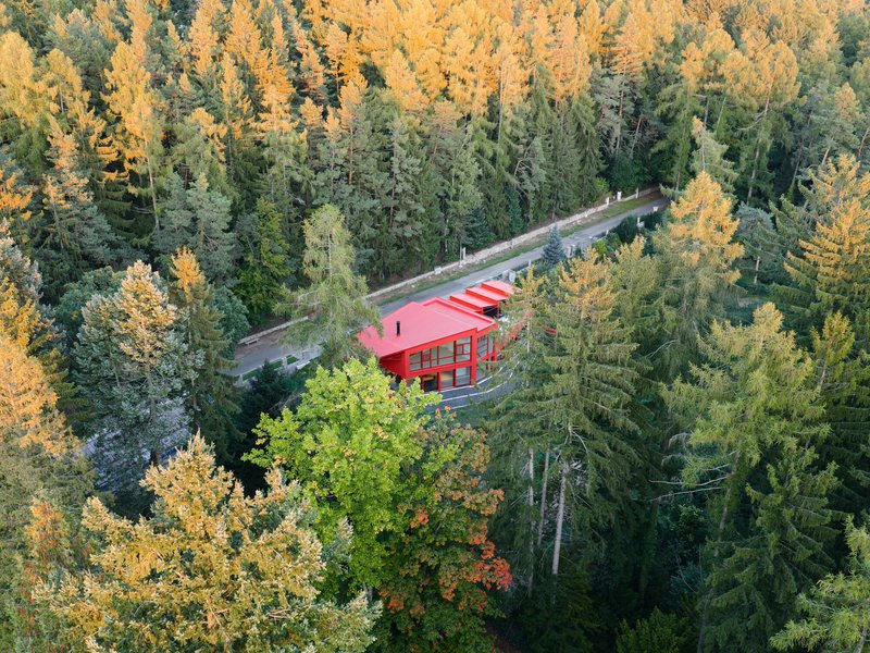 Drone view showing the angled roof forms and driveway cut into the forested hillside