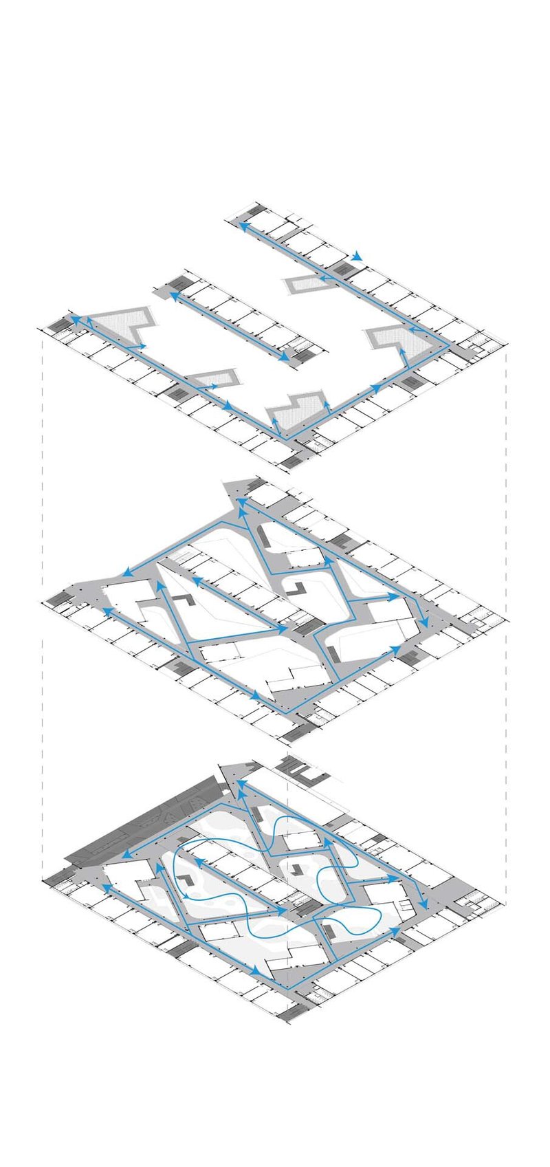 Axonometric drawing showing three stacked floor plates with blue circulation paths threading through each level