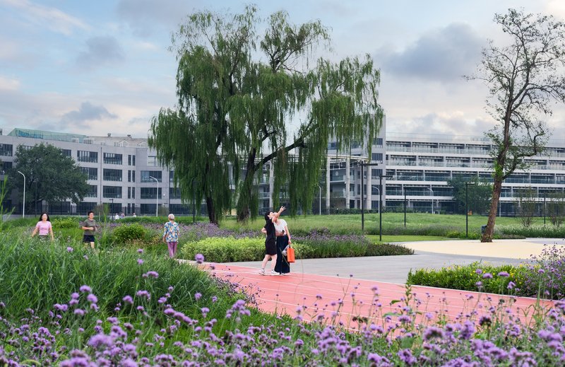 Pink rubber plaza bordered by purple flowering beds and willow trees with people walking under a cloudy sky
