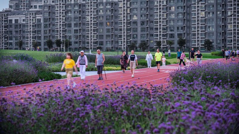 Red running path bordered by purple flowering verbena with residential towers in the background