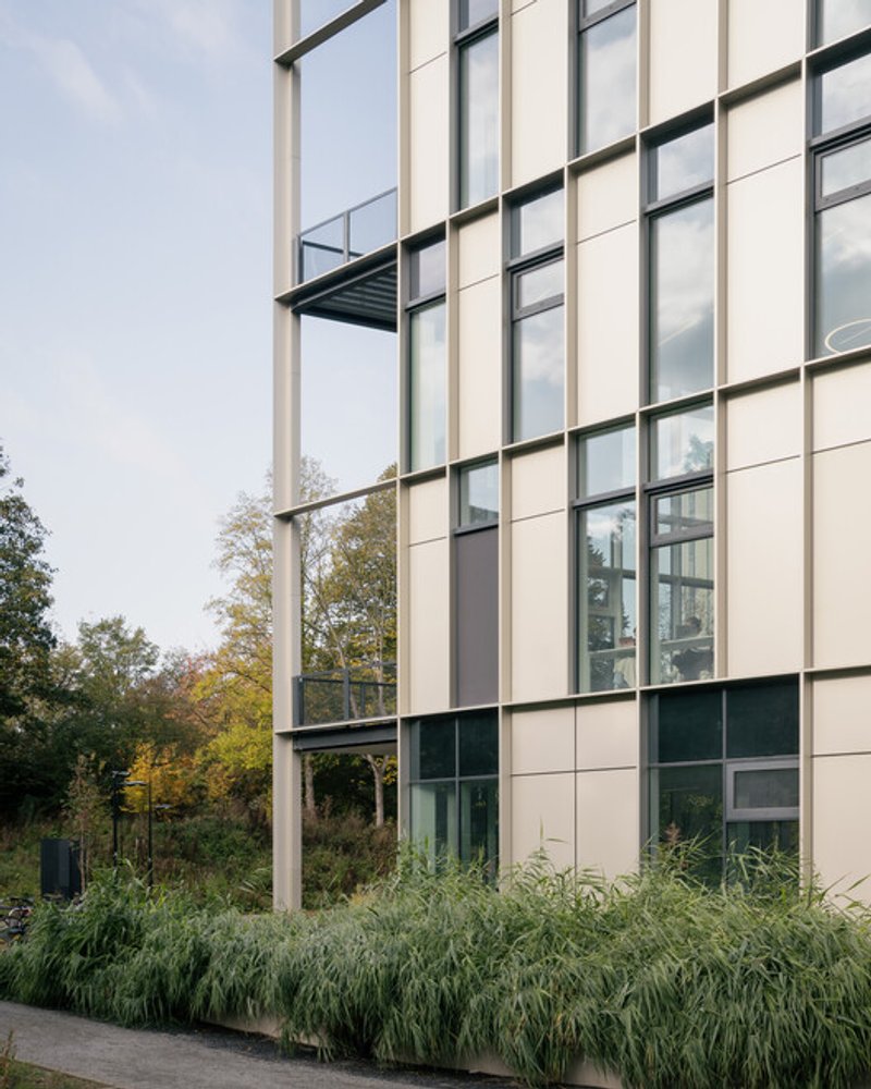 Facade close-up: beige metal panels, black-framed windows, a single small Juliet balcony, tall ornamental grasses in the foreground