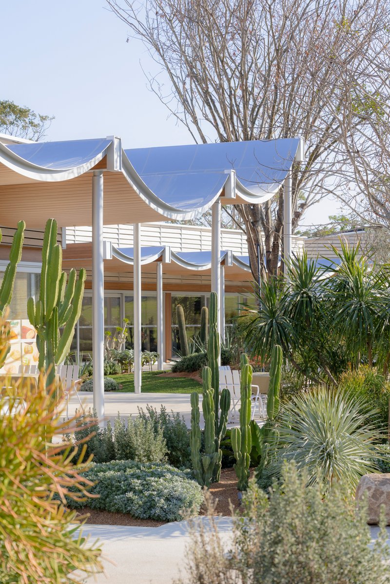 Low pavilion with draped fabric canopy viewed through foreground plantings of cacti and succulents