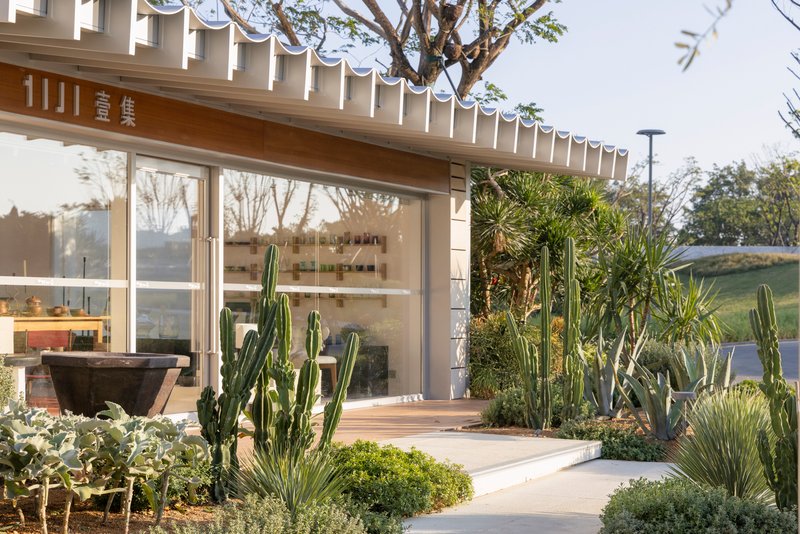 Glass storefront with horizontal louvered canopy framed by tall cacti and low mounding plants