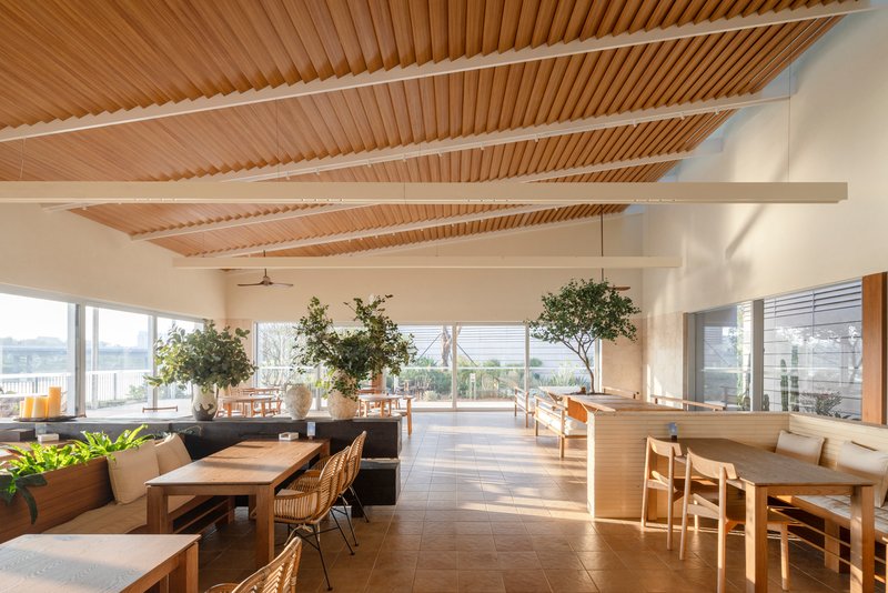 Open dining area with slatted wood ceiling beams and potted trees in afternoon sunlight