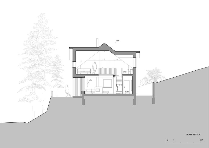 Cross section drawing through sloping site revealing split-level interior with pitched roof and flanking trees