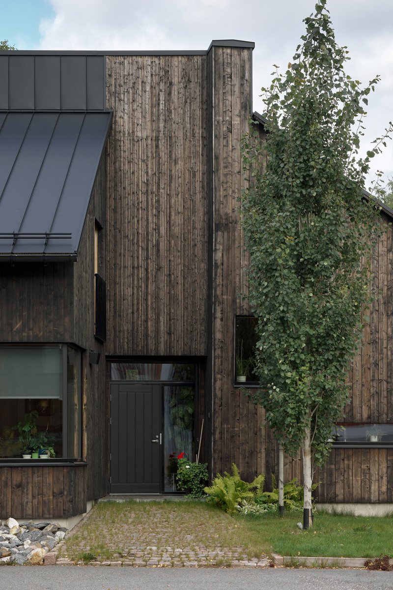Street facade of charred vertical timber cladding with metal standing seam roof and young tree in foreground