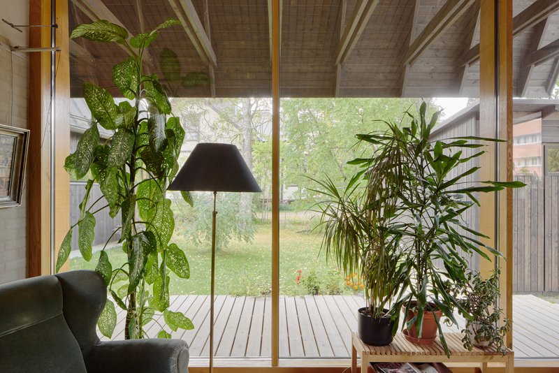 Floor-to-ceiling windows framing a timber deck and potted plants under exposed wood rafter ceiling