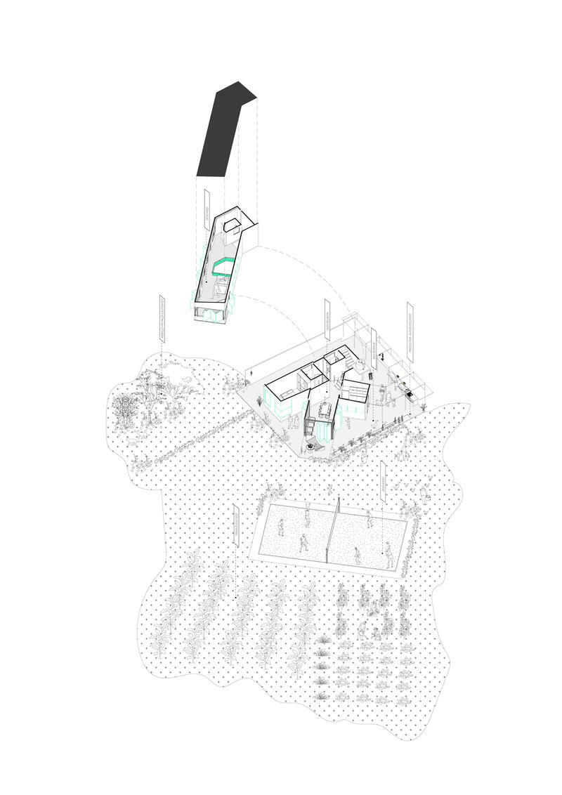 Axonometric drawing showing clustered volumes on a sloped site with trees and landscape