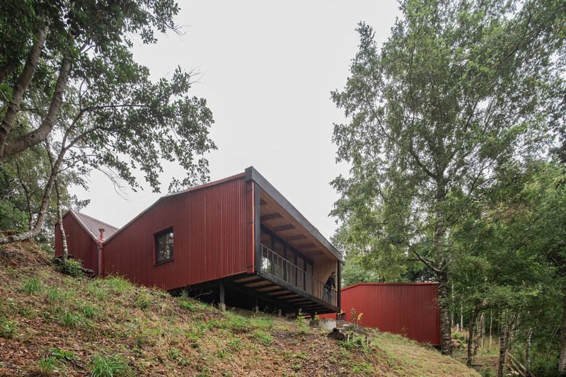 Red corrugated metal volumes elevated on a wooded hillside framed by deciduous trees