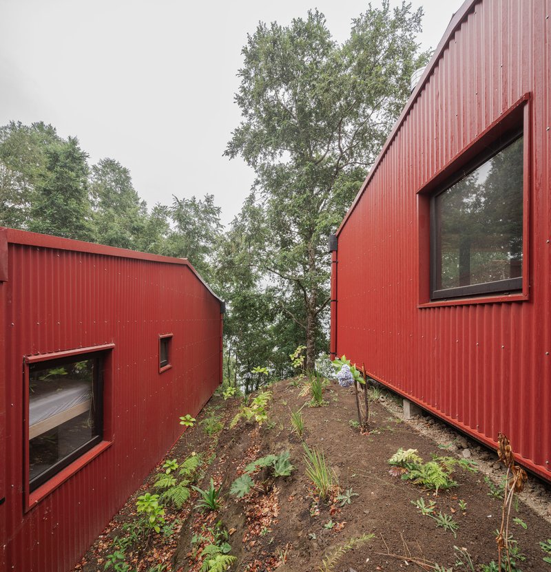 Planted courtyard between two red corrugated metal volumes with windows overlooking the garden