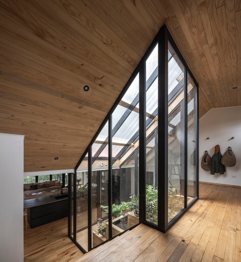 Interior atrium with sloped timber ceiling and tall glazed wall framing a planted courtyard