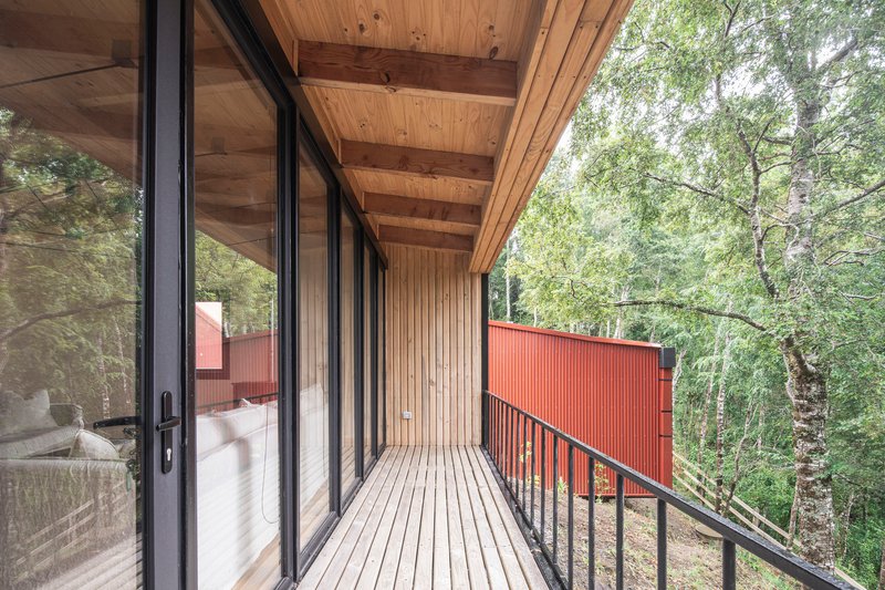 Covered timber deck with vertical wood cladding and steel railing overlooking the forest canopy