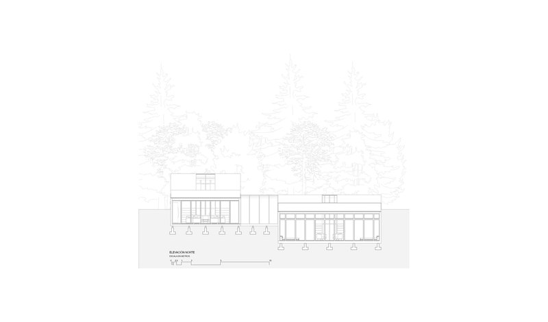 Elevation drawing showing two offset volumes on piers with surrounding coniferous trees