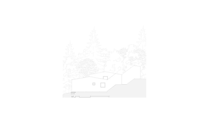 Elevation drawing depicting a sloped roof volume with square windows nestled among evergreen trees
