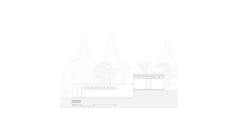 Elevation drawing showing two volumes at different levels surrounded by dense forest vegetation