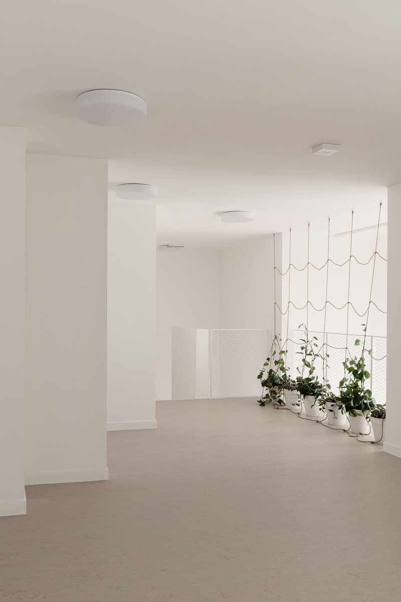 White corridor with recessed ceiling lights leading to a rope climbing installation with potted plants below