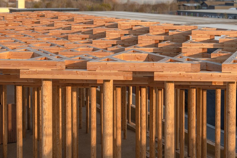 Close view of timber columns supporting a grid of stacked wood beams in daylight