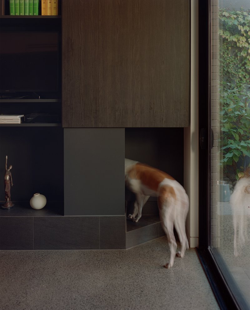 Dog entering a concealed passage through the base of the built-in cabinetry unit