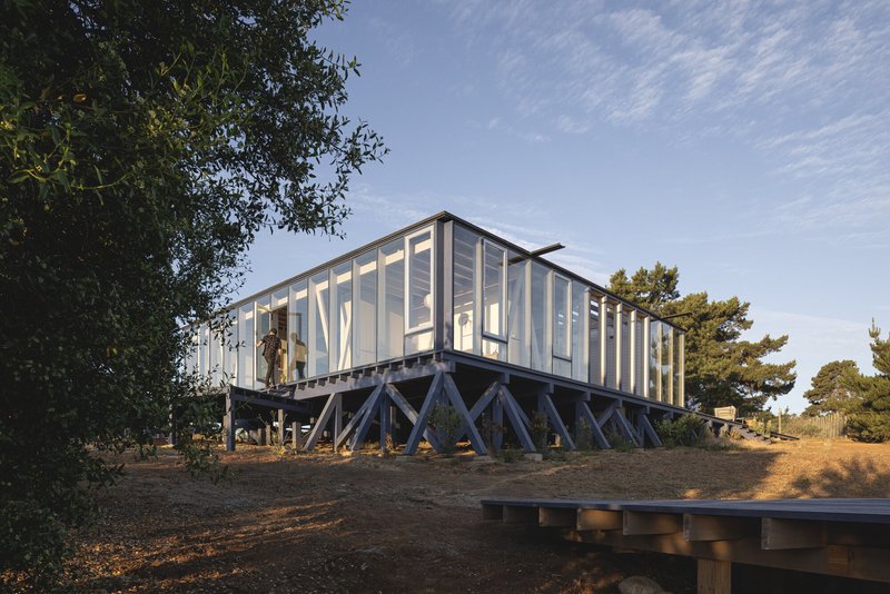 Elevated glass pavilion on diagonal steel bracing framed by mature trees in afternoon light