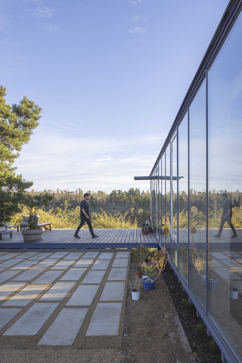Exterior terrace with concrete pavers and planted beds alongside a glass curtain wall