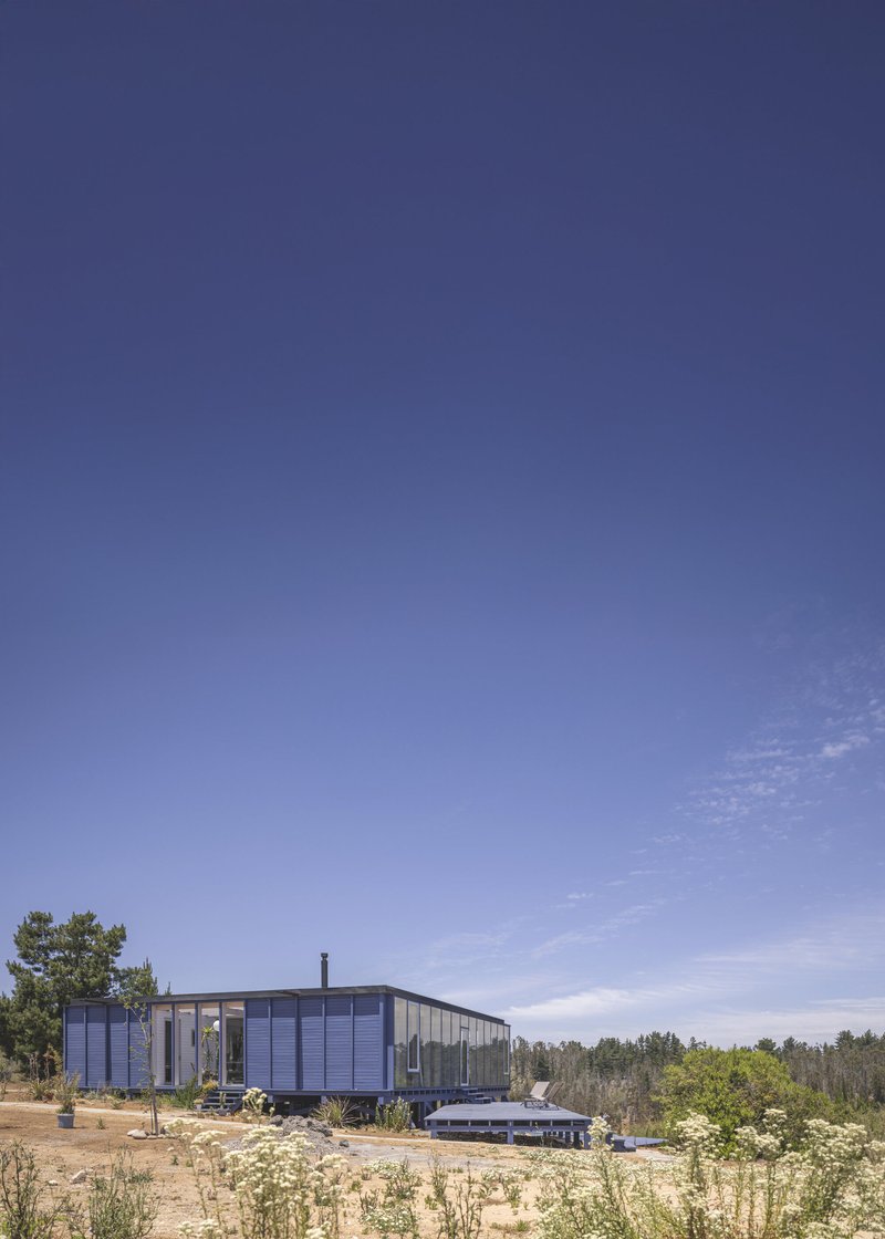 Linear glazed structure elevated on diagonal timber supports in a sandy clearing with scattered vegetation