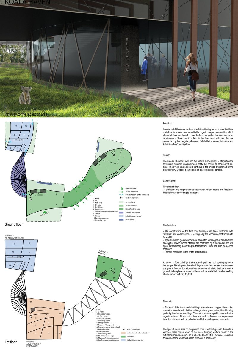 Koala Haven – Wildlife Rehabilitation Center