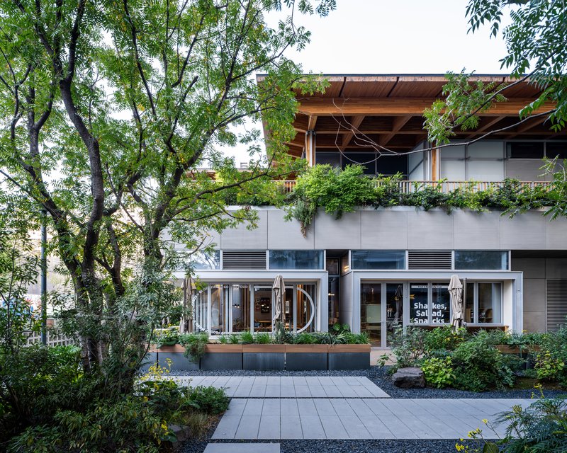 Ground floor facade with storefront glazing and planted terrace above shaded by overhanging timber roof structure