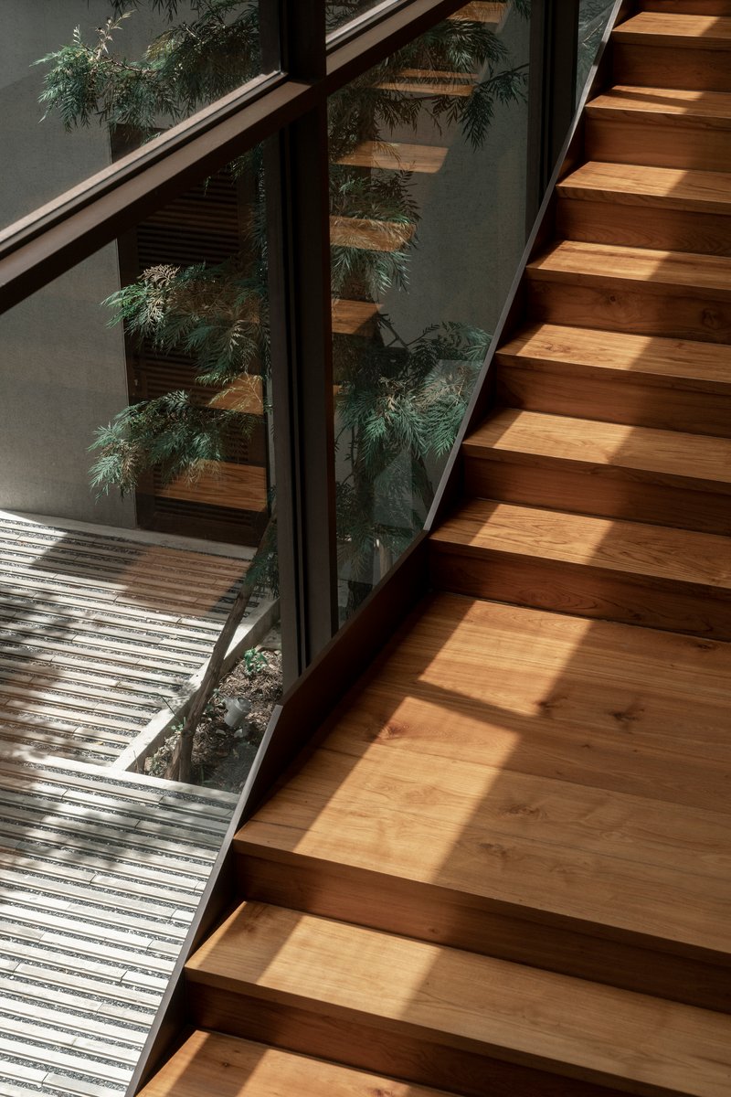 Timber staircase with glass balustrade overlooking a courtyard garden in dappled light