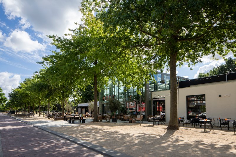 Public plaza with mature trees shading outdoor seating and a glazed pavilion in summer