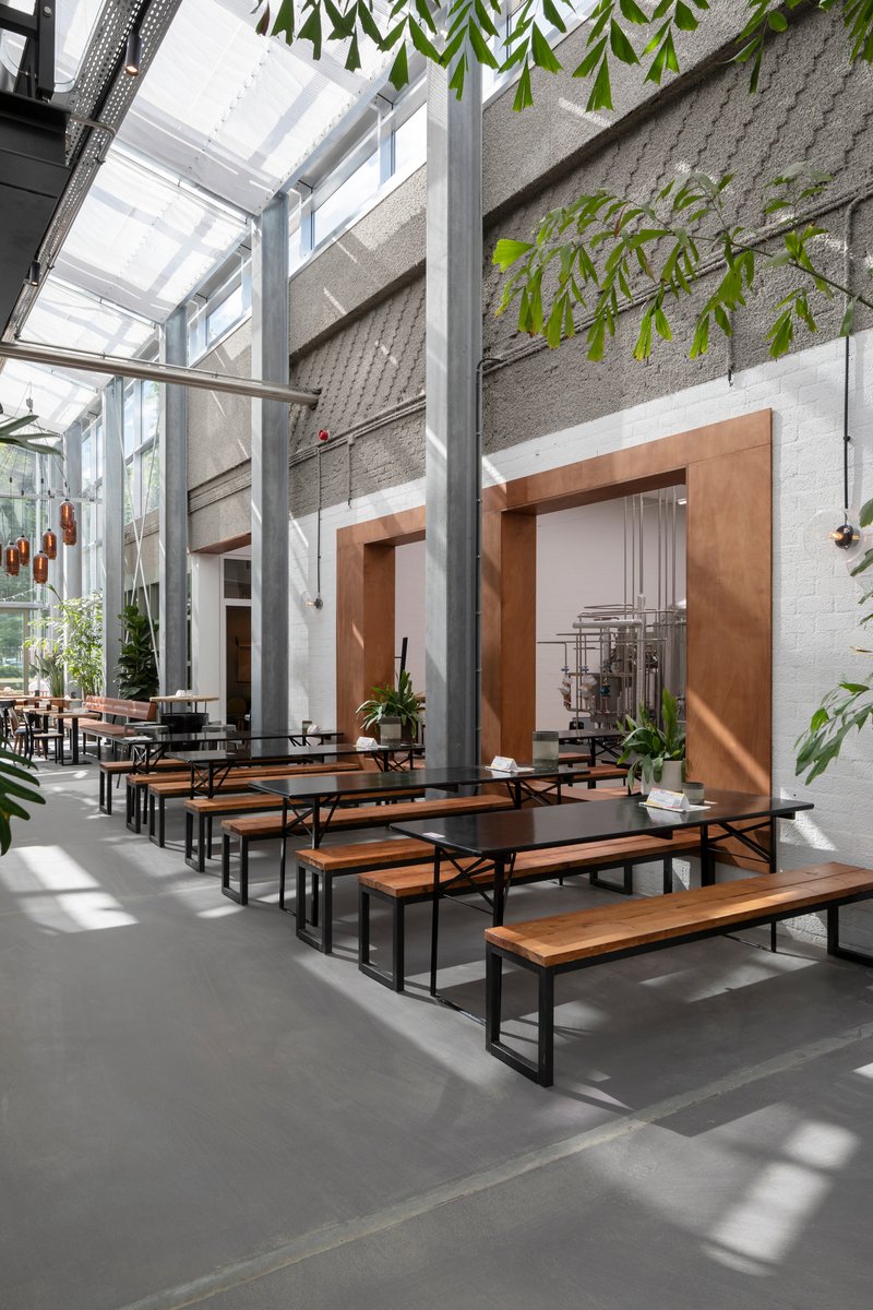 Double-height interior hall with exposed concrete beams, glazed roof, timber benches and hanging foliage