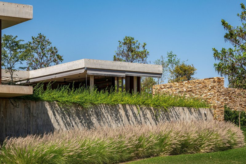 Concrete pavilion above board-formed retaining wall planted with ornamental grasses beneath scattered trees