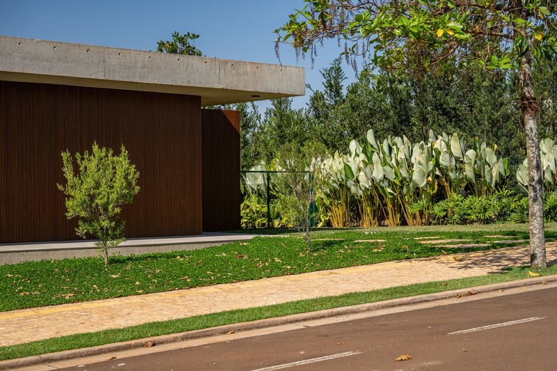 Entry canopy with timber cladding adjacent to lawn and large paddle cactus planting under blue sky