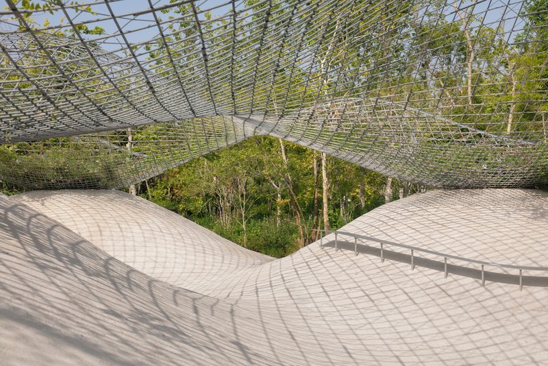 View into courtyard opening where diagrid canopy frames a central grove of mature trees