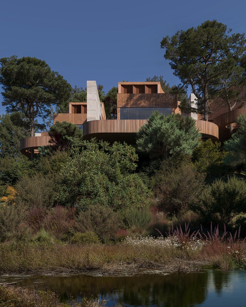 Clustered timber and masonry volumes rising from a hillside planted with coastal grasses and shrubs