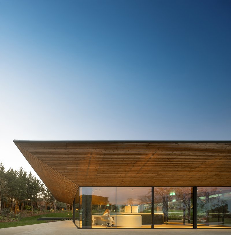 Cantilevered timber soffit above glass-walled entrance with reception desk visible at dusk