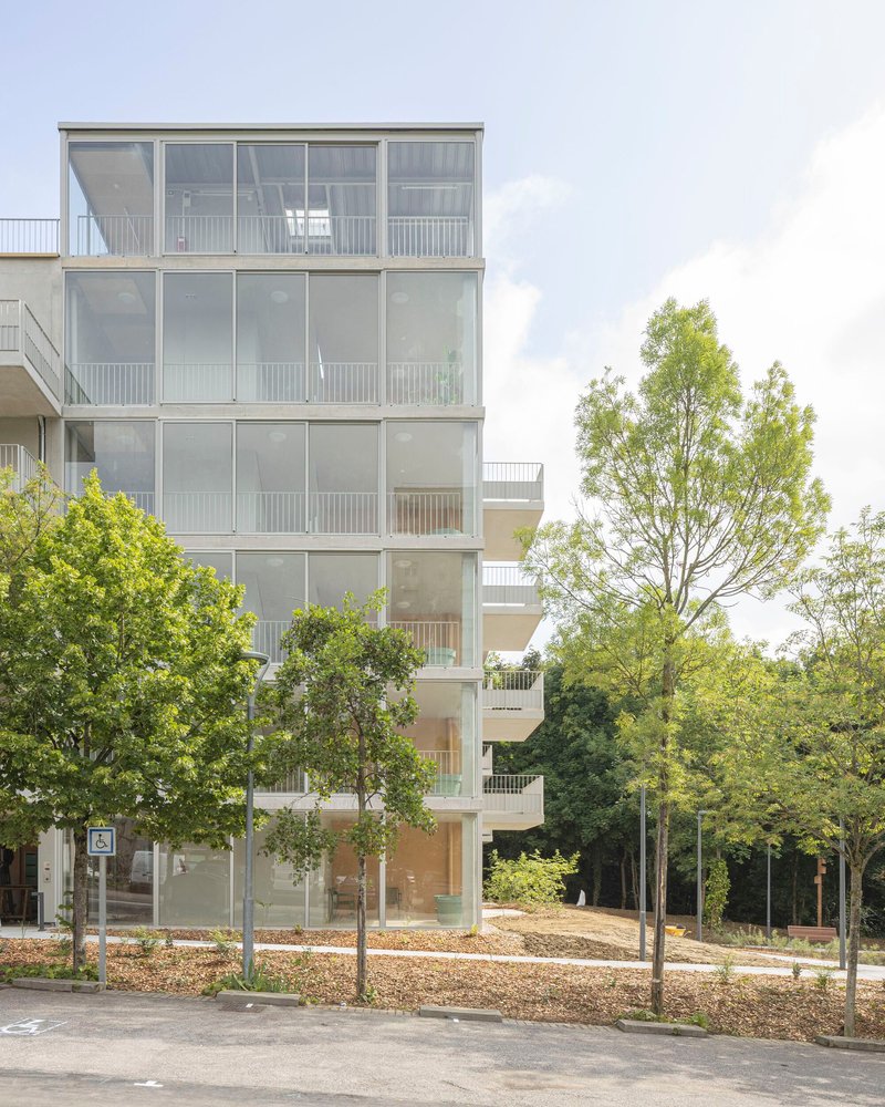 Six-storey facade with glazed balconies and white frames framed by young trees in a courtyard setting
