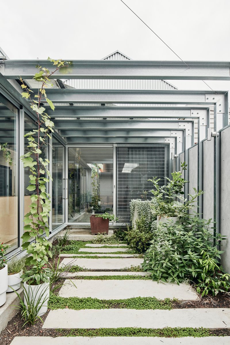 Glazed steel pergola sheltering concrete paver pathway with ground cover plantings between slabs