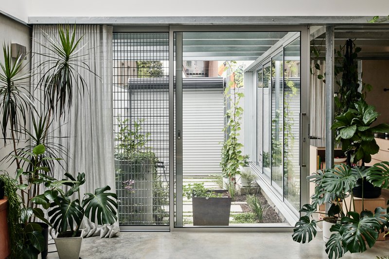 Interior view through glazed doors to a planted courtyard with mesh screens and potted monstera