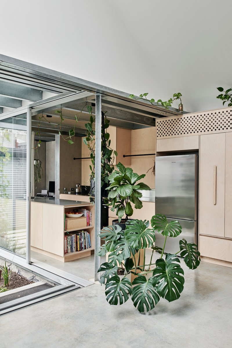 Open kitchen with exposed steel beams and hanging monstera plants beneath a glazed roof structure