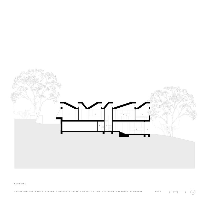 Section drawing revealing twin curved roof shells over interconnected interior spaces with trees flanking the structure