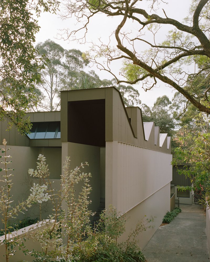 Angled facade showing vertical window slots and white flowering grasses beside the entry path