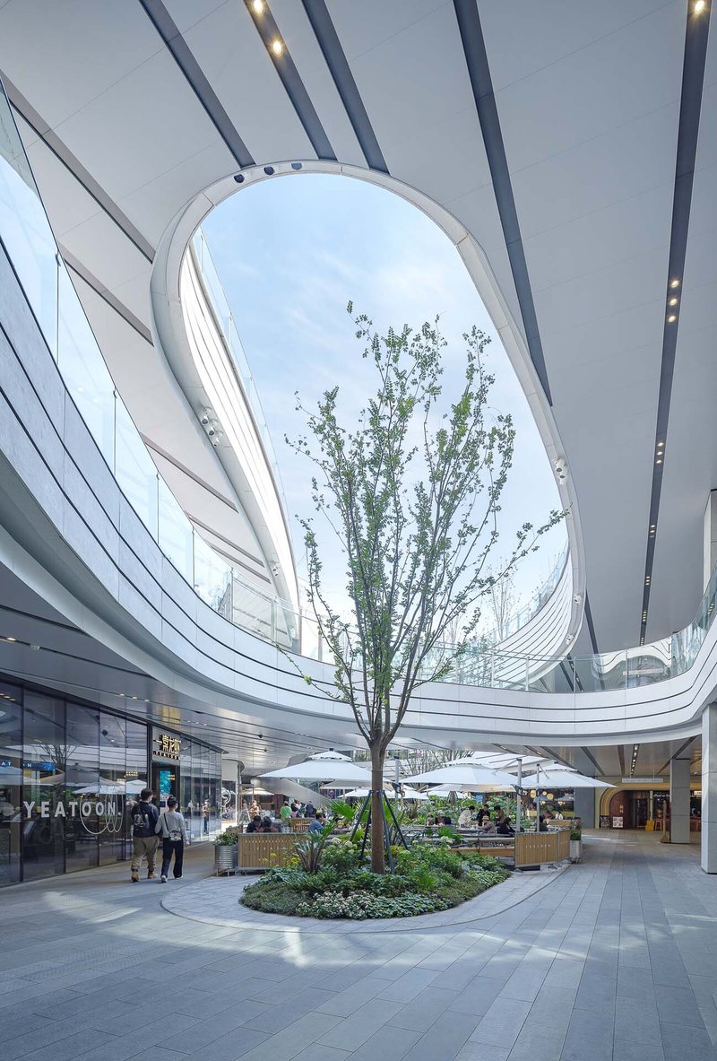 Interior courtyard with oval skylight opening, central tree, dining tables and curved white balcony edges