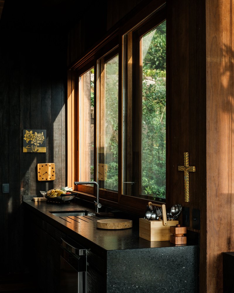 Dark stone countertop and timber-framed windows overlooking garden foliage in afternoon sunlight