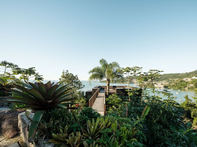 Timber walkway leading through planted slope with agave and palms toward the bay
