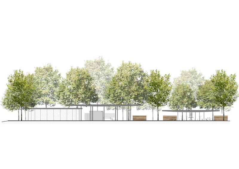Elevation drawing of a glass pavilion sheltered beneath a line of trees