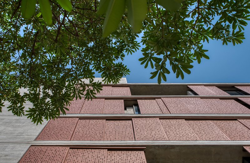 Upward view of perforated brick facade with recessed window openings framed by overhanging tree canopy