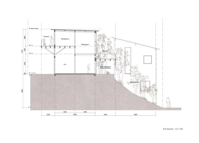 Section drawing showing workspace volumes on a sloping site with terraces and planted gardens