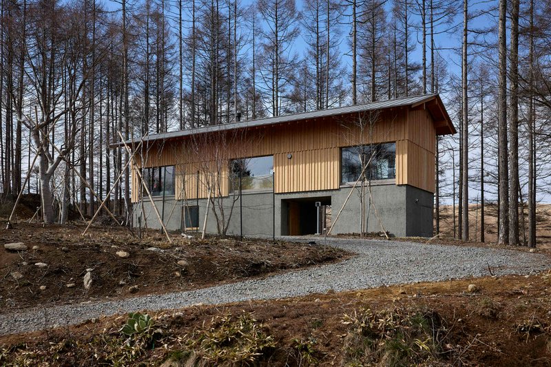 Two-story timber clad volume on concrete plinth set among bare trees with gravel access path