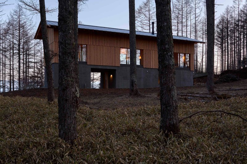 Elevated timber and concrete volume among bare larch trees at dusk